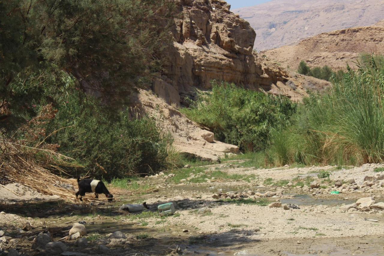 Wadi Al-Hassa Camp 호텔 Khawkhah 외부 사진