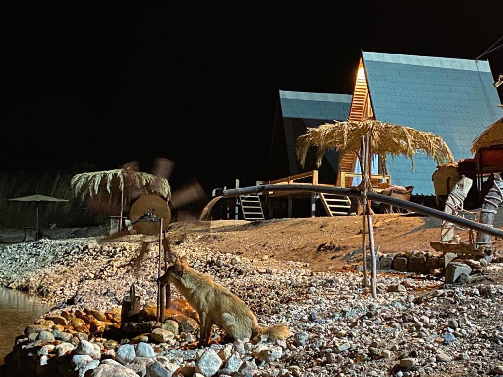 Wadi Al-Hassa Camp 호텔 Khawkhah 외부 사진
