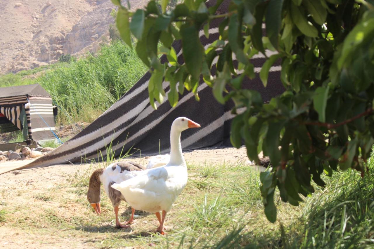 Wadi Al-Hassa Camp 호텔 Khawkhah 외부 사진