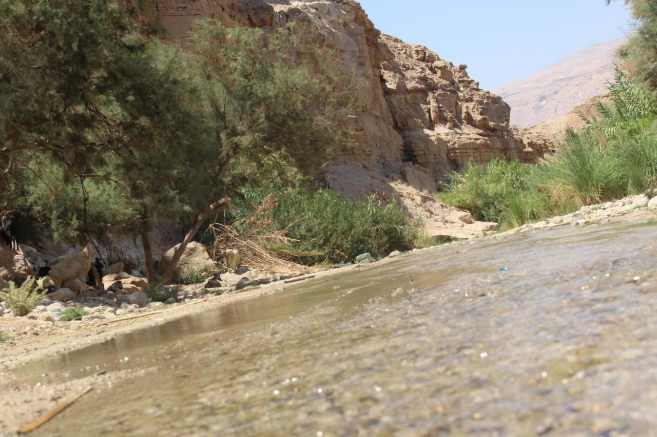Wadi Al-Hassa Camp 호텔 Khawkhah 외부 사진