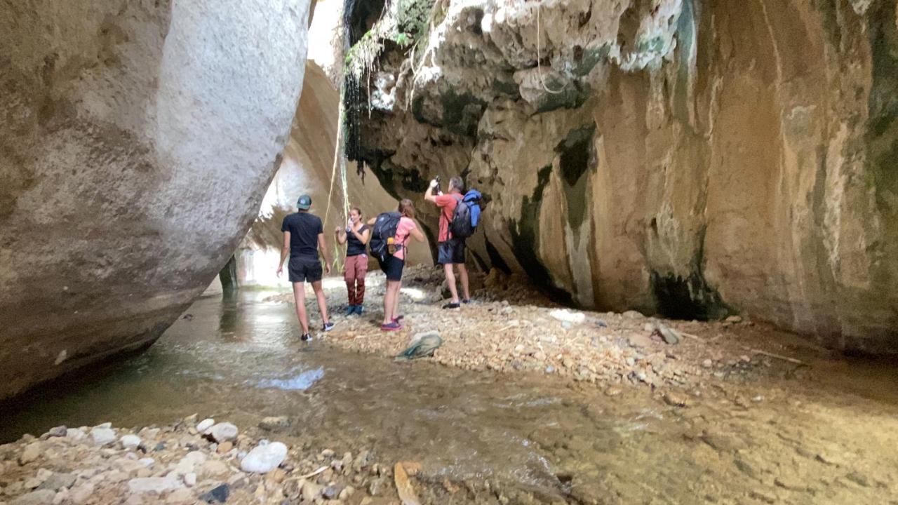 Wadi Al-Hassa Camp 호텔 Khawkhah 외부 사진