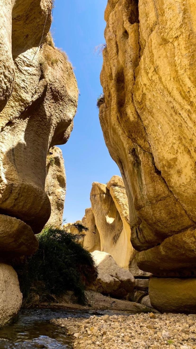 Wadi Al-Hassa Camp 호텔 Khawkhah 외부 사진