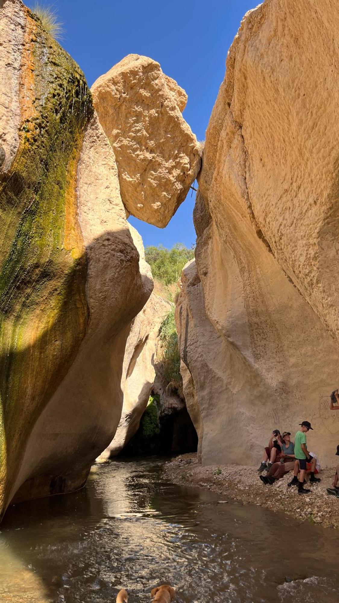 Wadi Al-Hassa Camp 호텔 Khawkhah 외부 사진