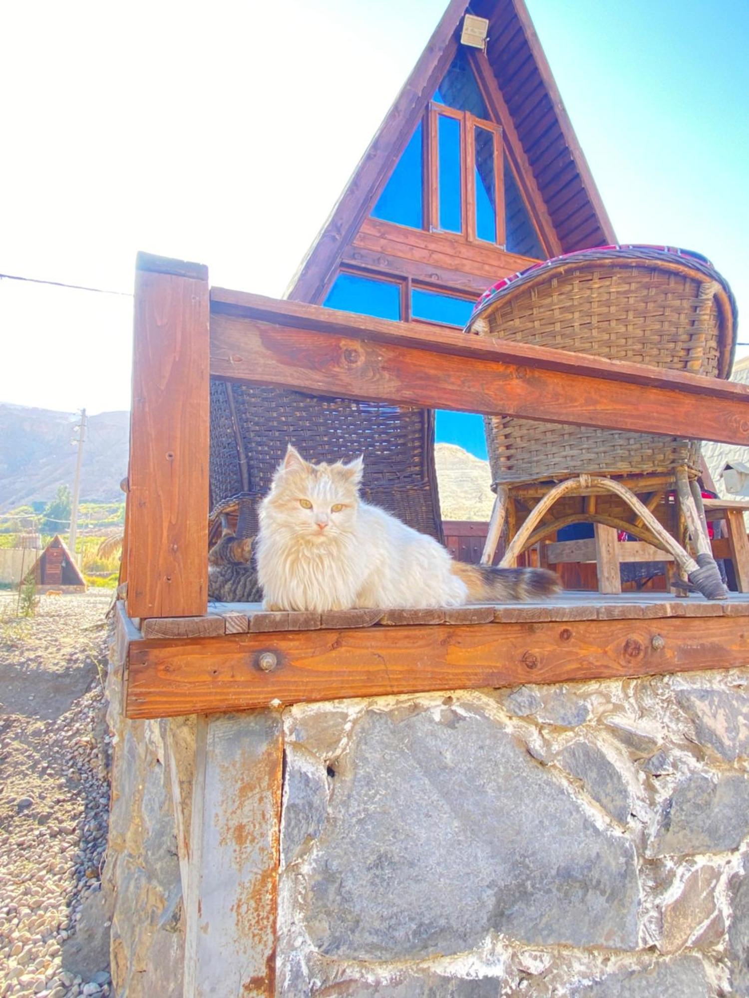 Wadi Al-Hassa Camp 호텔 Khawkhah 외부 사진